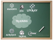 Training for Liferay Development | Magento | Alfresco Training