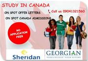 TOP IELTS Coaching in Mohali