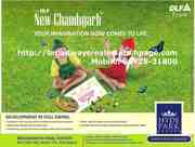DLF Arcade Commercial SCO Plots Hyde Park at New Chandigarh Mullanpur 