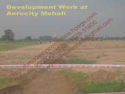 Residential Plot / Land for Sale in Sector 66,  Mohali (GMADA Aerocity)