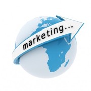  A Marketing Executive looking for a job in Chandigarh,  Tricity