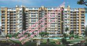 TDI Wellington Heights flats for sale in mohali near IT Park Sector 11