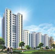 3 BHK Flats In Mohali Ansal API Tulip & Carnation Tower at Sector 115