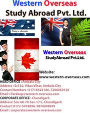 Study Visa Consultant