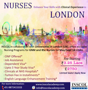Nursing Programs for GNM/BSc/MSc Nurses in UK