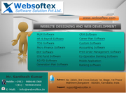 Website Design,  Website Development,  software development