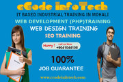 Industrial Training For Fresher in PHP/SEO and Designing