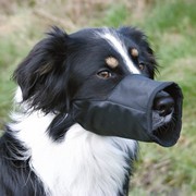 Buy Trixie Dog Muzzle For Safety at Petgenie Online Shop