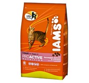 Buy IAMS Cat Adult Salmon Chicken food at Petgenie.in