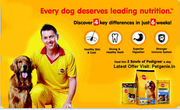 Enjoy Diwali Offer on Pet Foods And Accessories at Petgenie