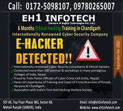 6 Months Ethical Hacking Training in Mohali