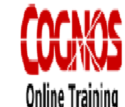 SAS BI 9.4 Online training institute