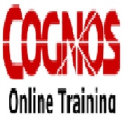 Cognos IBM bi Training in Kolkota India