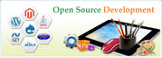  Website Development Company in Nagpur 