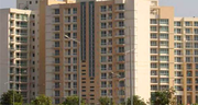 Chandigarh Property Online|Property In India|Property In Chandigarh