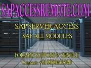 SAP REMOTE ACCESS Services