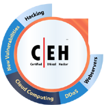 Course - CEH-Certified Ethical Hacker Delhi