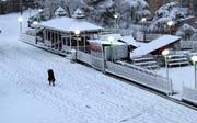 holiday family tour packages in shimla