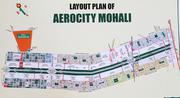 125 Sq YArd Plot Mohali Aerocity 