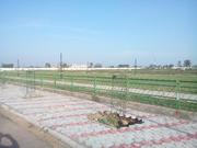 500 Sq Yard Plot in Aerocity Mohali