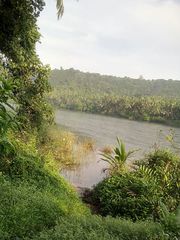 9 acres of river side land for sale in Nileswaram Kasargod