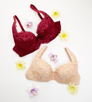Find out high quality bra from Thailand with best fit and many more va