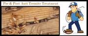 Anti termitet reatment service in Chandigarh,  Panchkula,  zirakpur