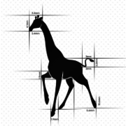 The Girafe Infotisements - Brochure Designing Company in Chandigarh