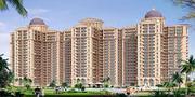 flats available in ambika florene  park 