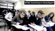 NTSE Coaching  in Chandigarh