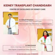 Which is the Best nephrologist Specialist Mohali Punjab?
