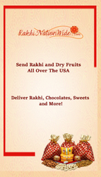  Send Rakhi N Dry Fruits to USA Hassle-free and Efficiently 