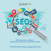 NetShooters - Top SEO Company in Mohali