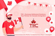 TIIC - Overseas Settlement Solutions: Your Partner for Canada Visa