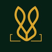 Party Wear Shoes – Bold Bunny Exclusive Collection